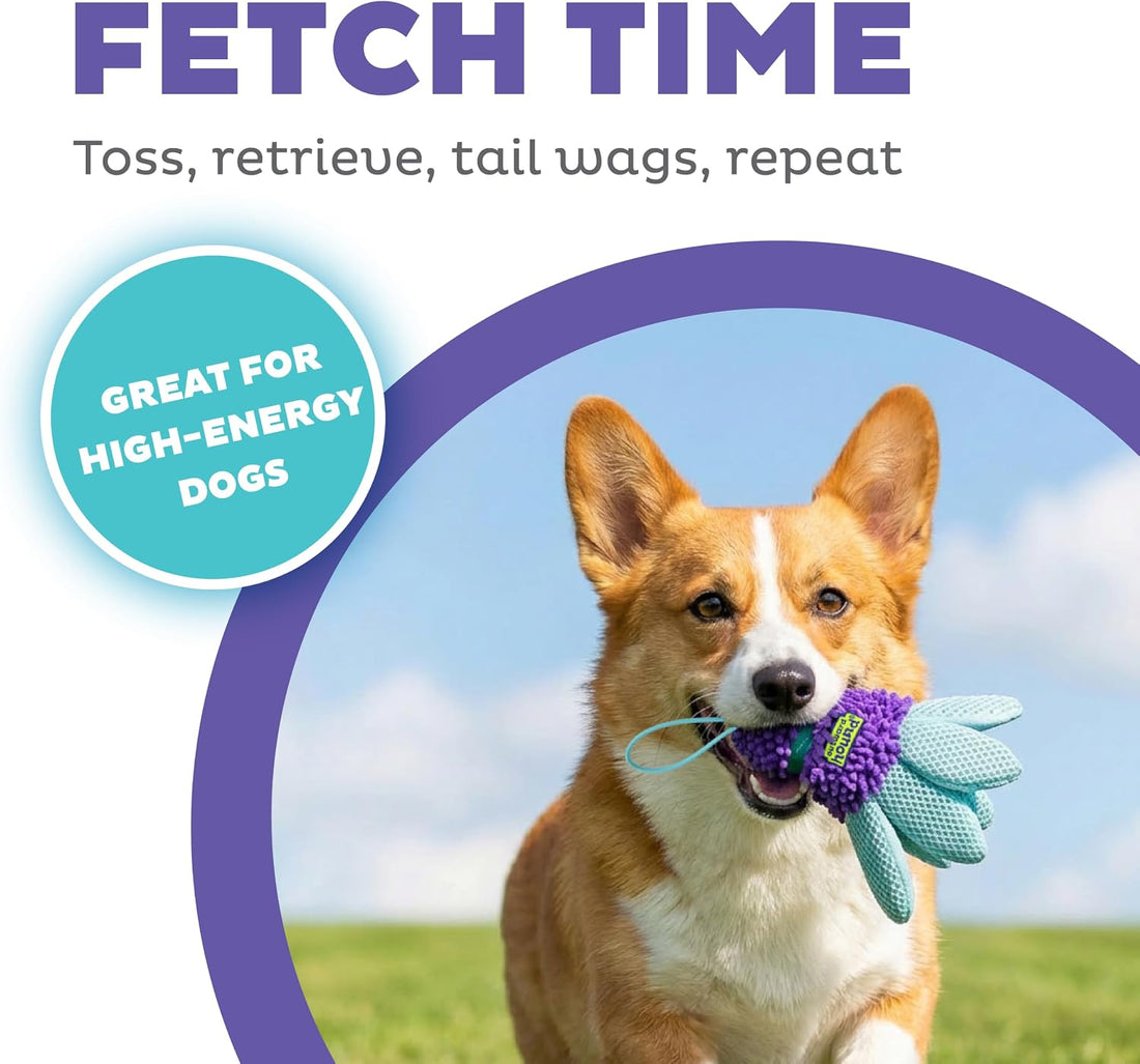 Outward Hound FlyFetch Teaser Wand Dog Toy with Crinkle Attachment