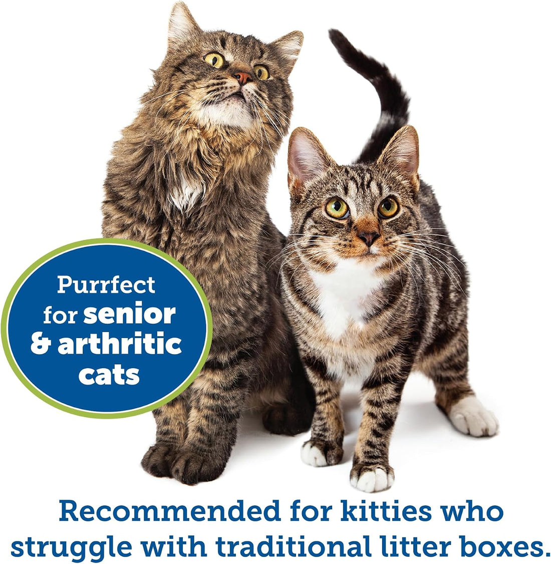 KittyGoHere Senior Cat Litter Box, Large Litter Pan, Beach Sand