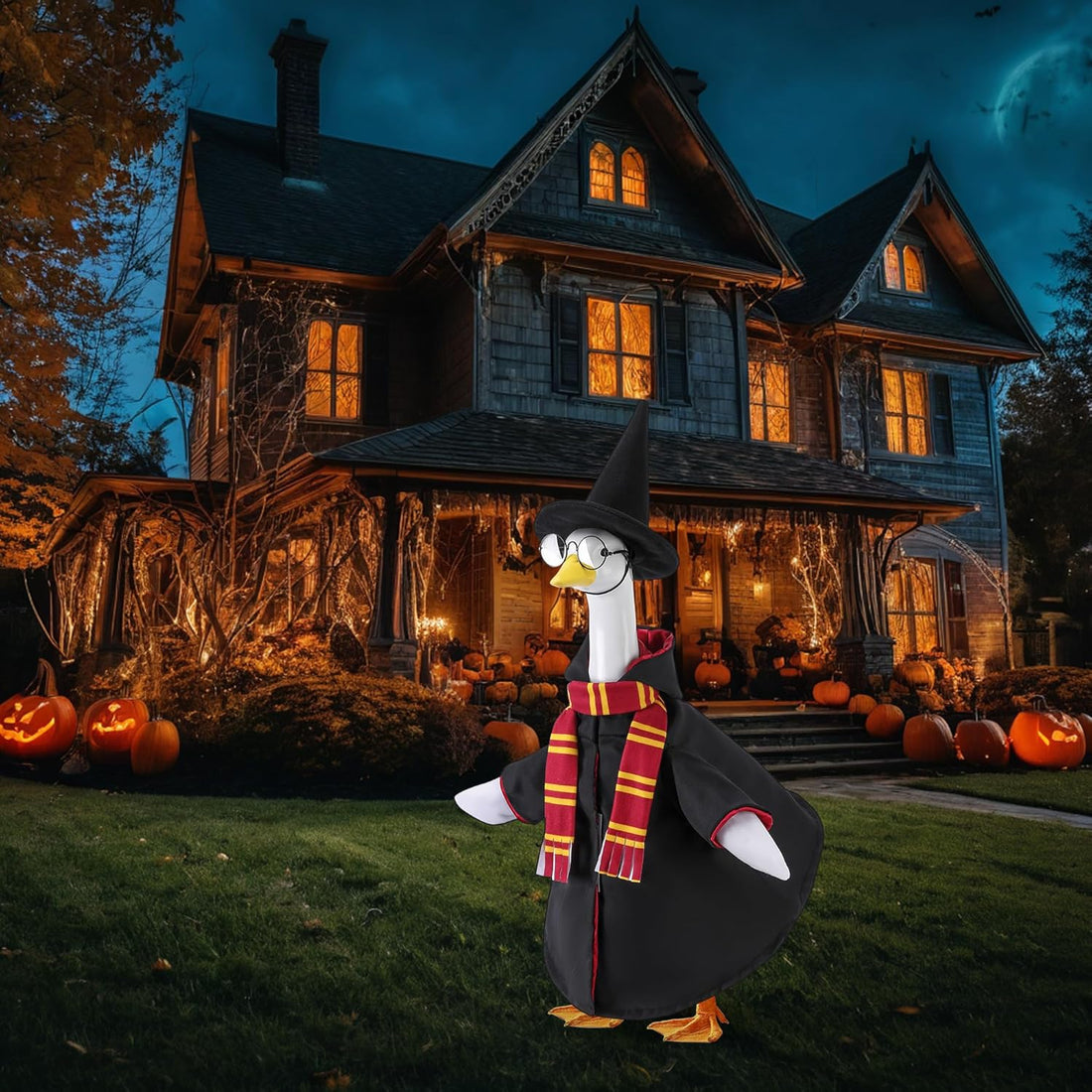 4Pcs Halloween Wizard Goose Outfits