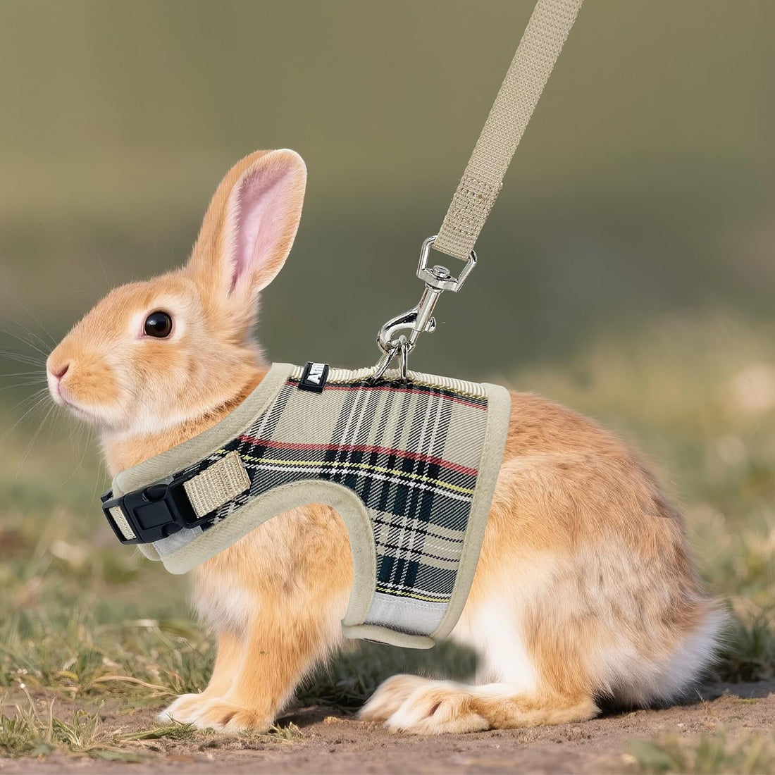 AIITLE Adjustable Soft Harness with Leash for Rabbits, Beige S