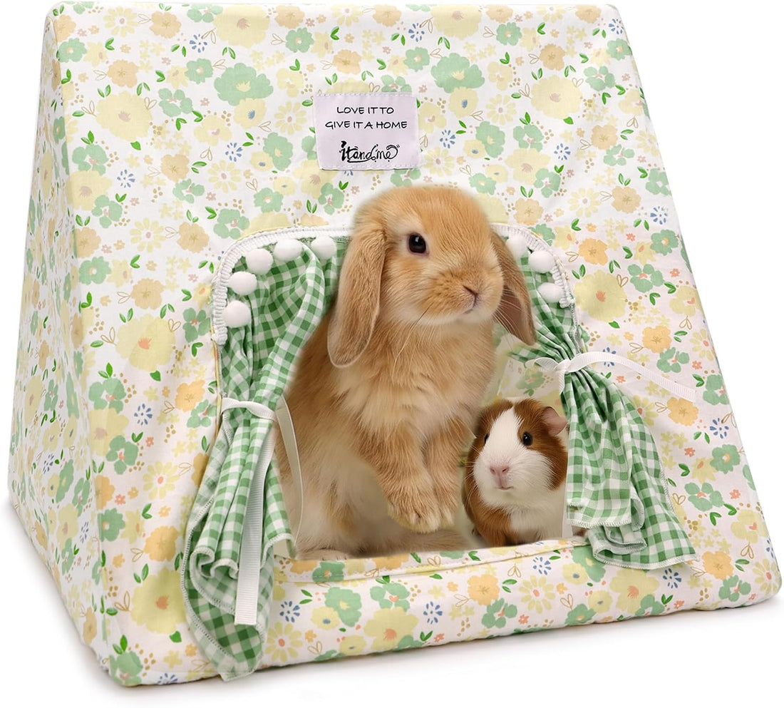 Jenvd Guinea Pig Hideout Large with Curtain