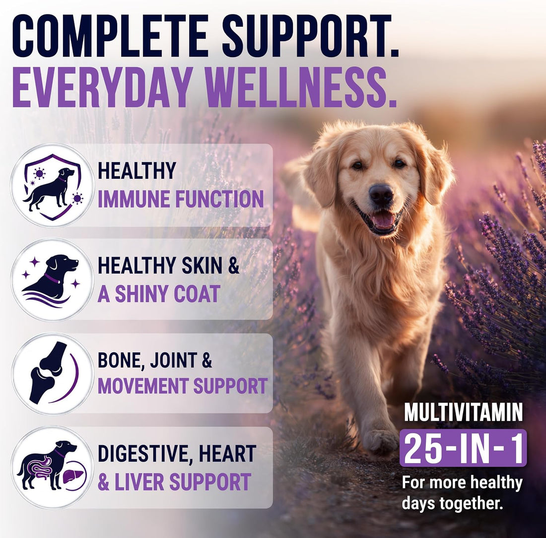 Omega 3 for Dogs - 250 Chews - Fish Oil for Dogs