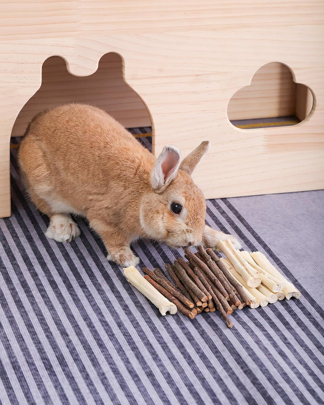 Niteangel 20pcs Natural Timothy Hay Sticks