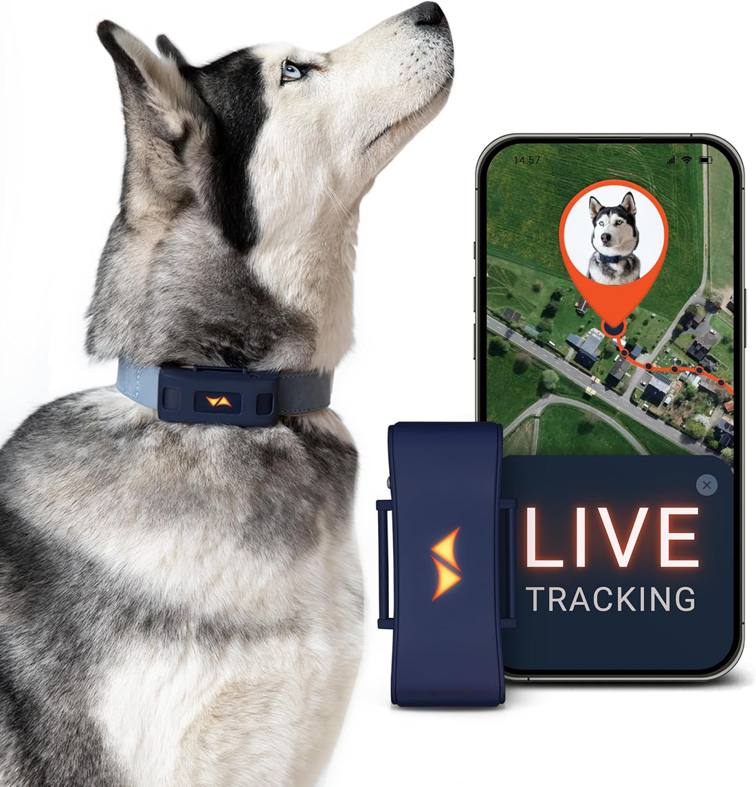 PAJ Dog GPS Tracker 3-Month Subscription Included