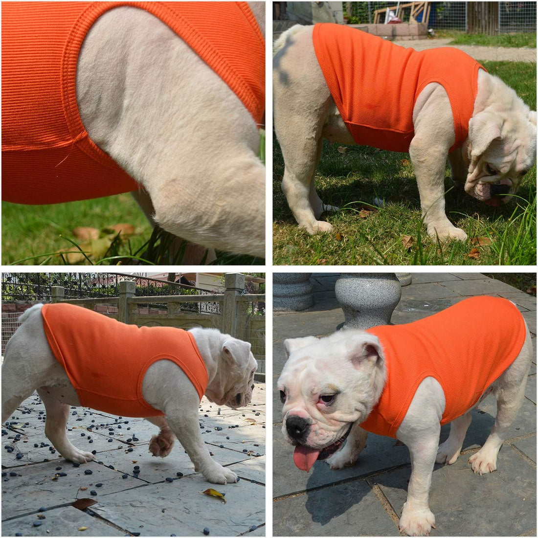 Lovelonglong 2019 Summer Pet Clothing