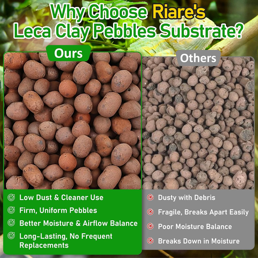 Riare 2LBS Organic Expanded Clay Balls Terrarium Substrate
