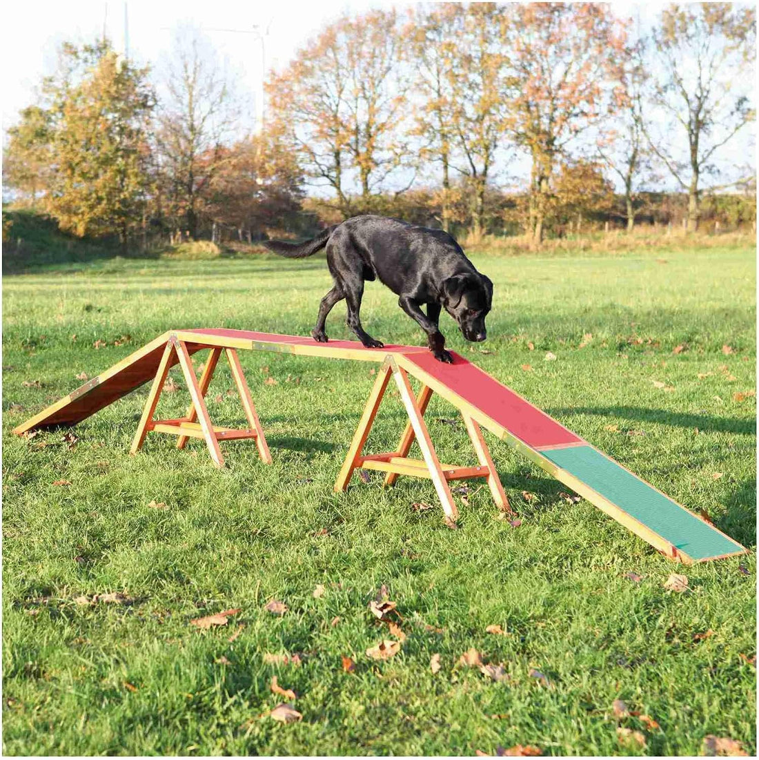 Trixie Agility Dog Walk with Contact Zones