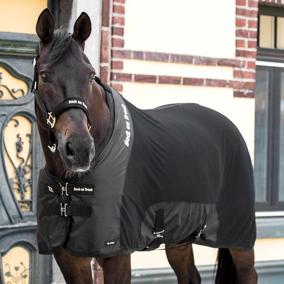 Back on Track Royal Mesh Sheet Deluxe Horse Blanket