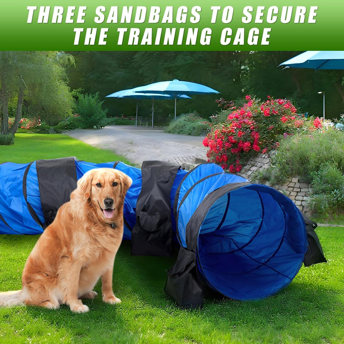 28 in 18 Foot Blue Extra Large Dog Agility Tunnel with Sandbags Dogs
