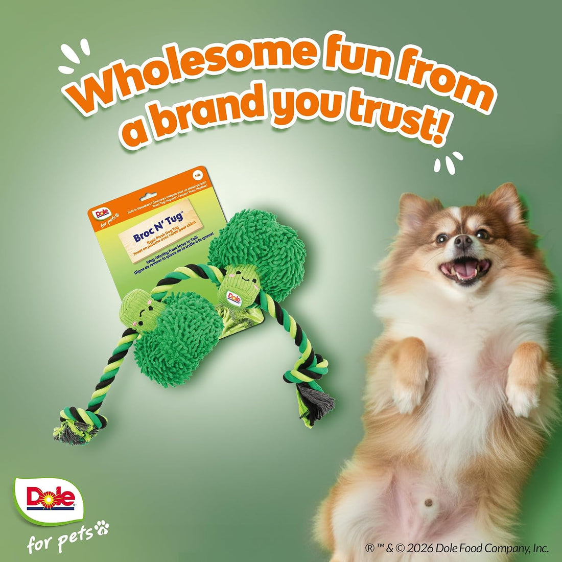 Dog Rope Toy with Squeakers, Broccoli Tug of War Dog Toy