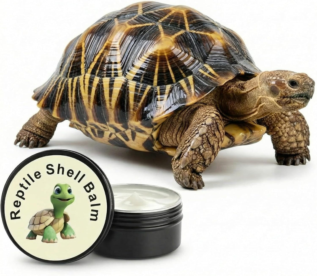Tortoise Oinment Shell Conditioner Cream