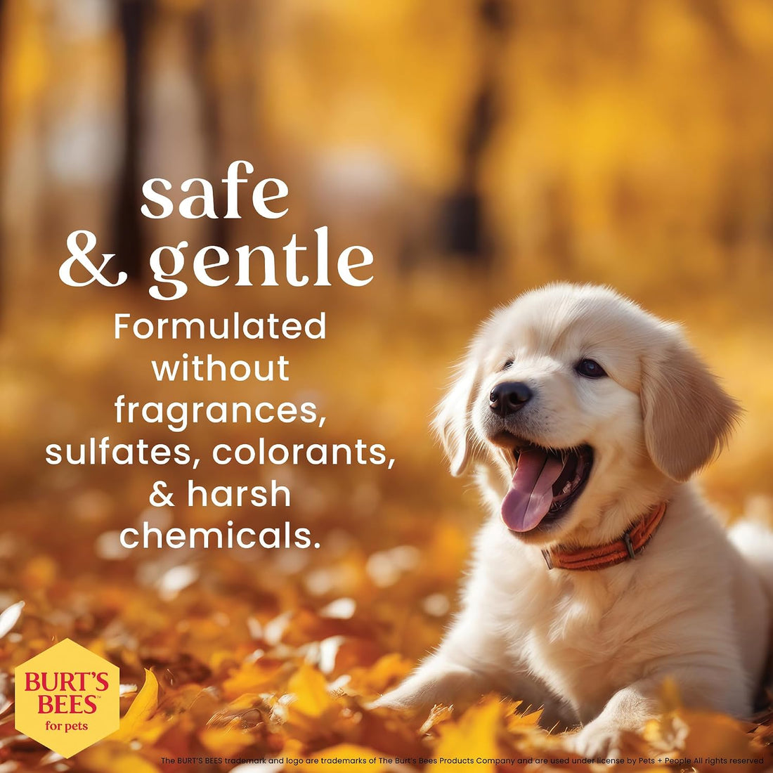 Burt’s Bees for Pets Tear Free Puppy Shampoo & Conditioner