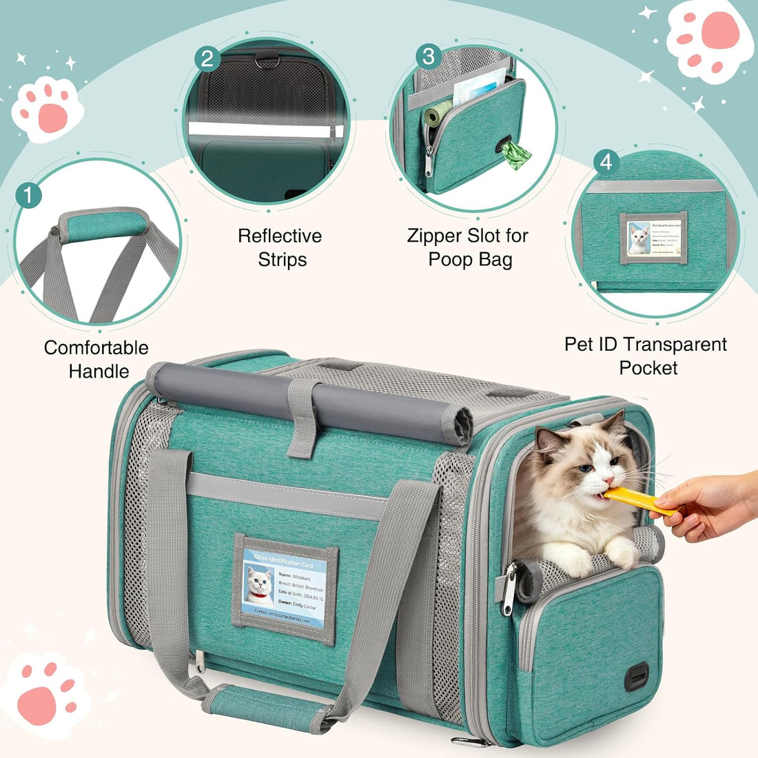 Soft Cat Carrier for Pets Up to 20 Lbs