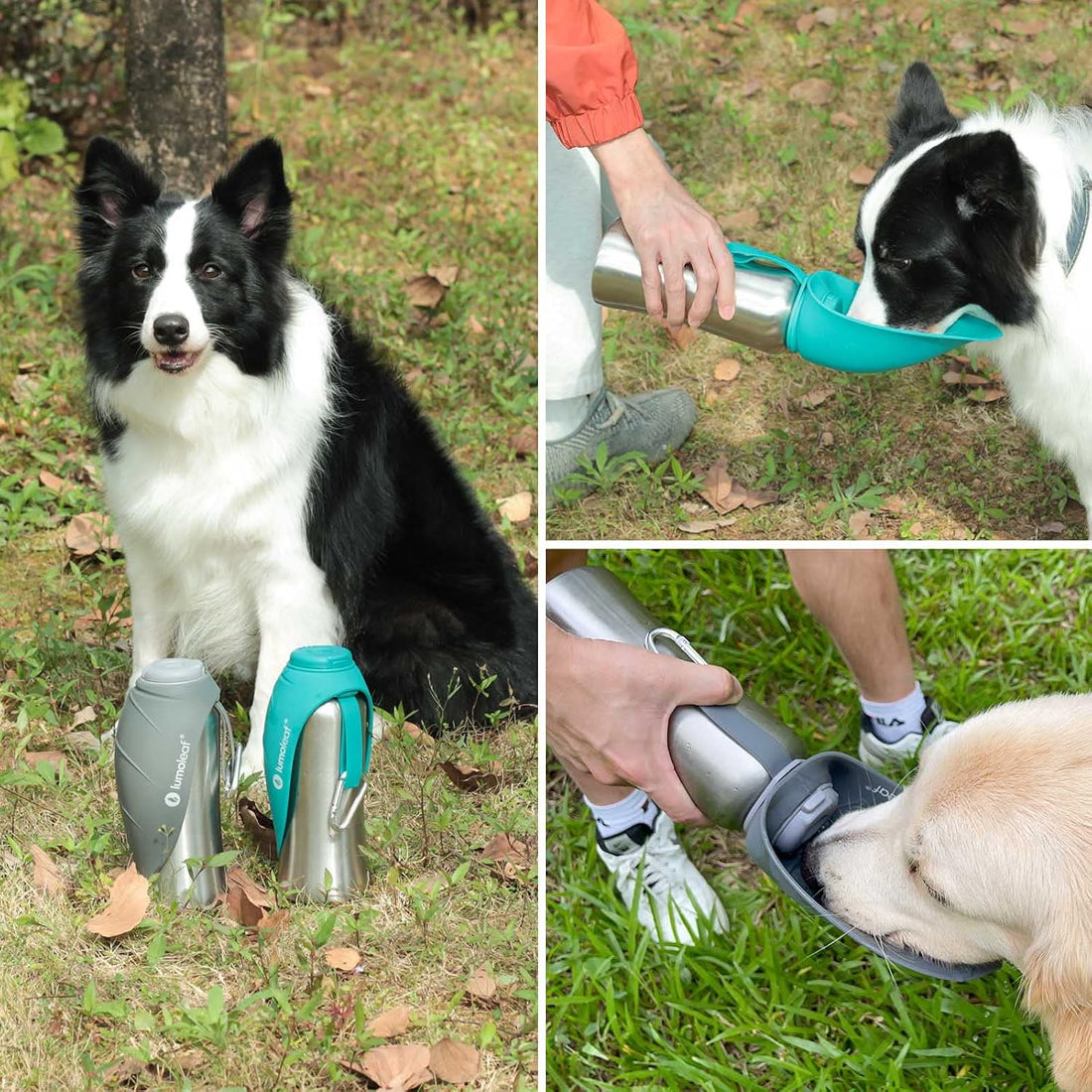 LumoLeaf Portable Dog Water Bottle 27 OZ