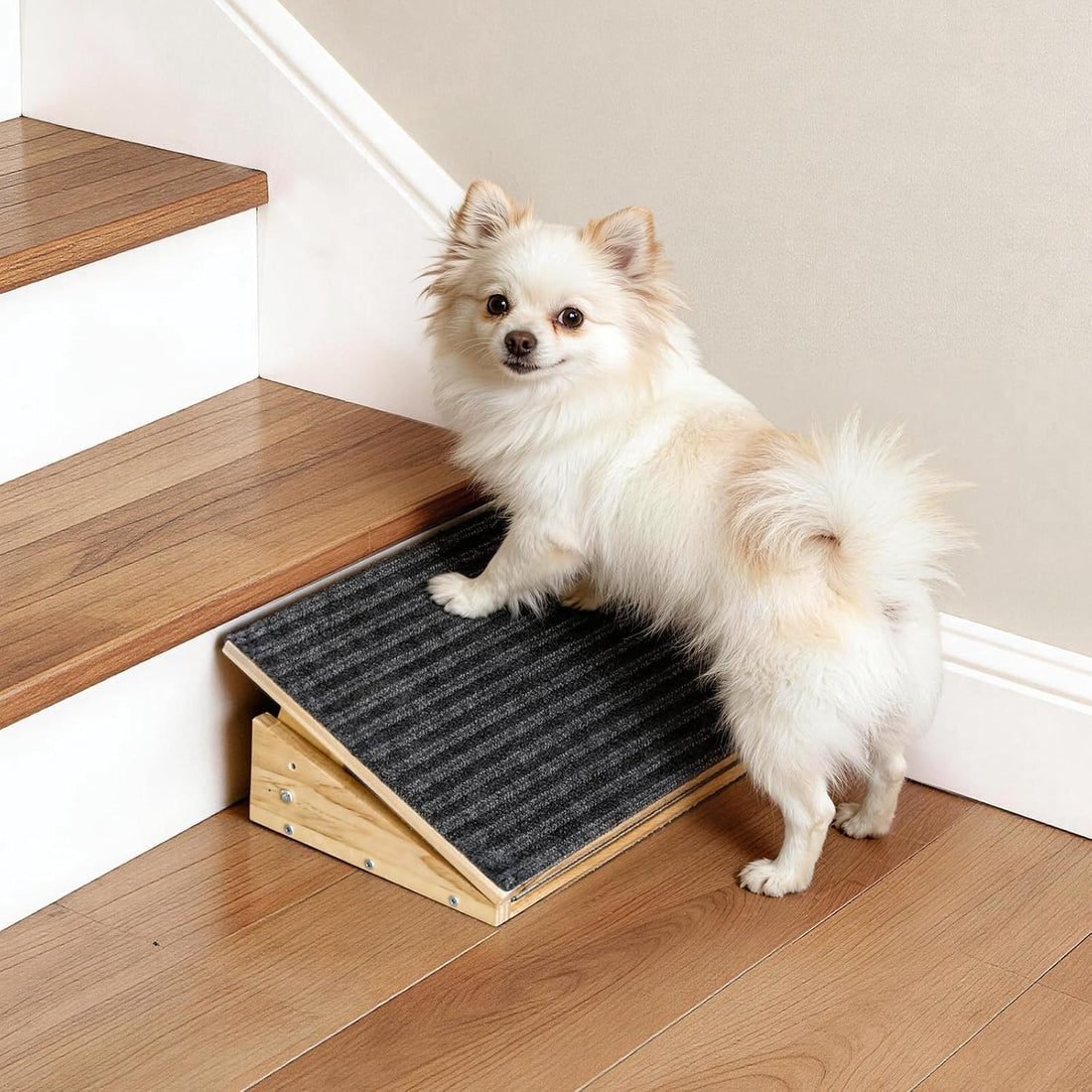 Adjustable Dog Ramp for Stairs with 3 Heights