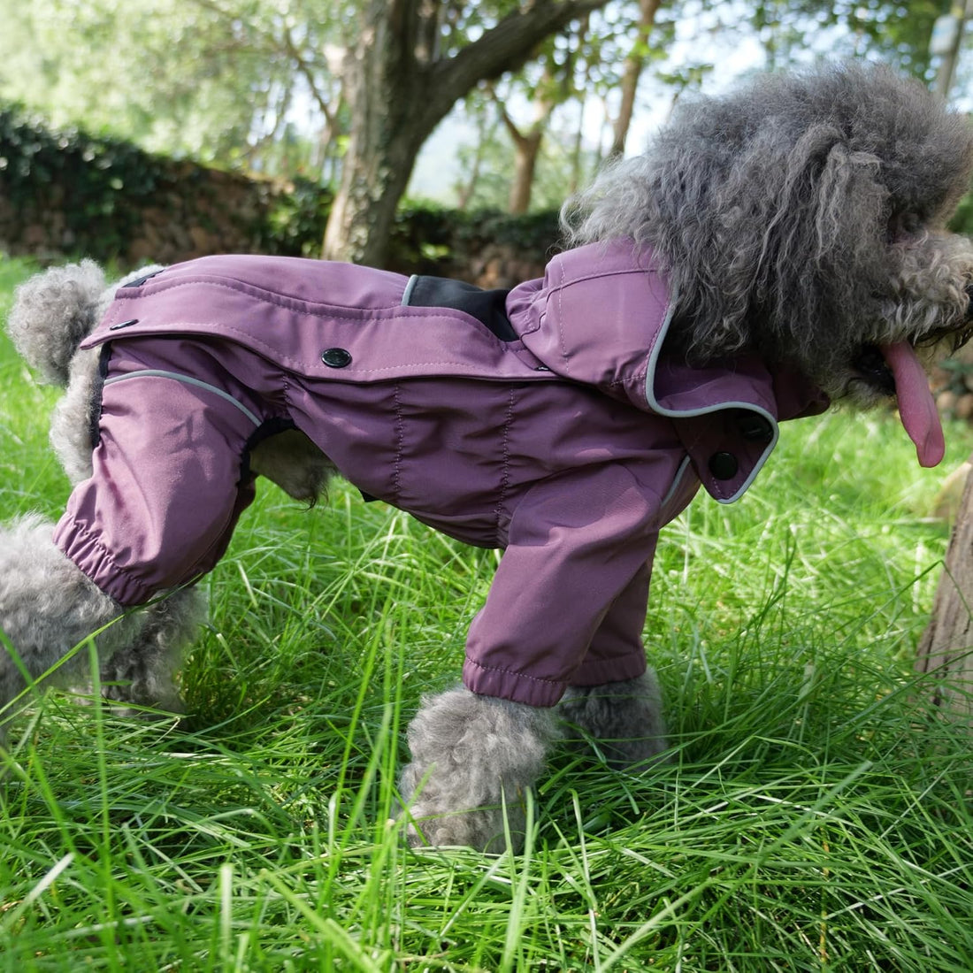 LOVELONGLONG Waterproof Dog Raincoat with Removable Hood