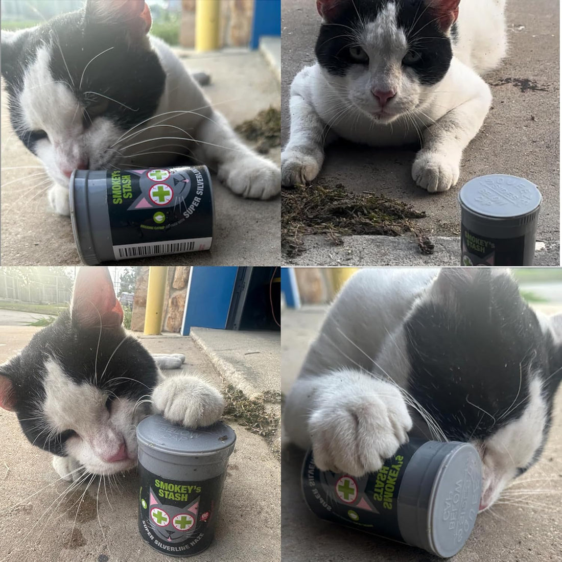 Smokey's Stash Silvervine Haze Potent Catnip and Silver Vine Blend
