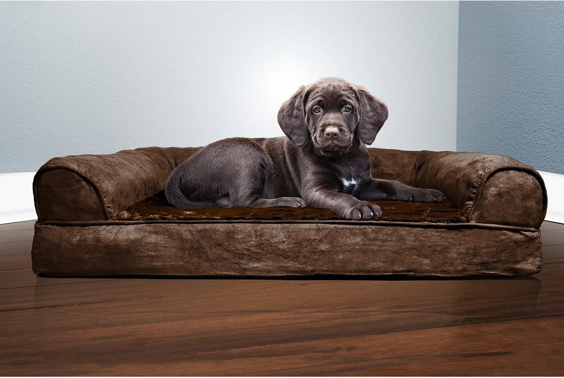 Furhaven Orthopedic Dog Bed for Medium/Small Dogs w/ Removable
