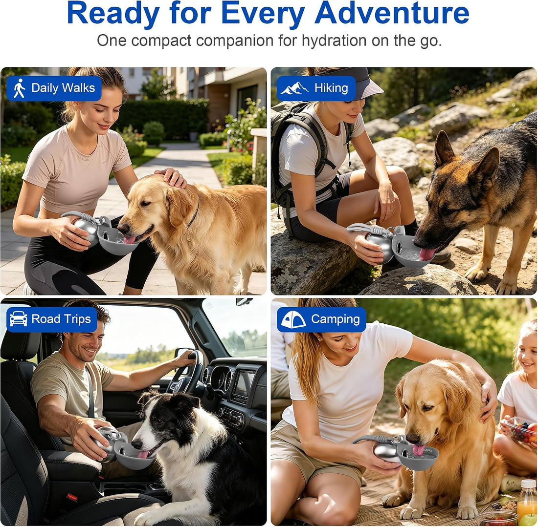 2-in-1 Dog Water Bottle with Foldable Bowl