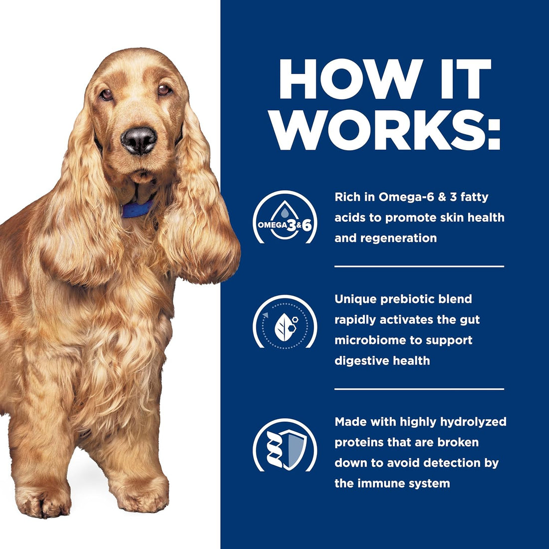 Hill's Prescription Diet z/d Skin/Food Sensitivities Dry Dog Food