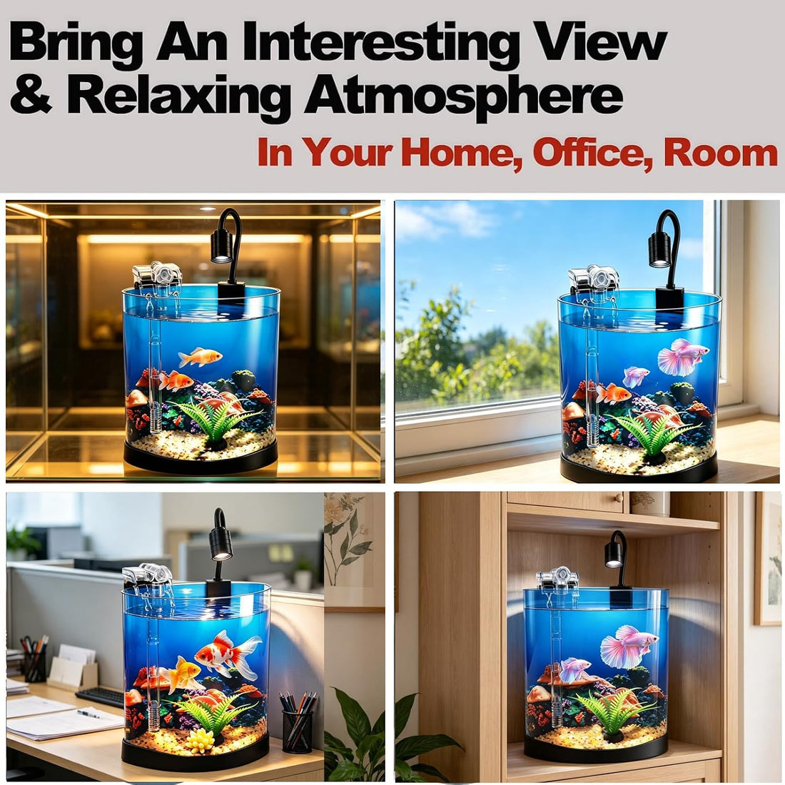 Desktop Fish Tank Kit, 3-in-1 Aquarium Starter with Filter & LED Light
