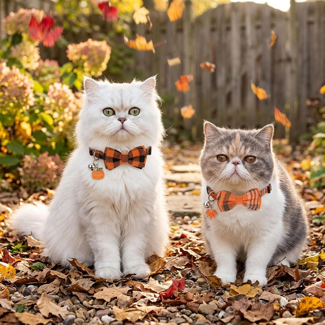 PTDECOR Fall Cat Collars with Bow