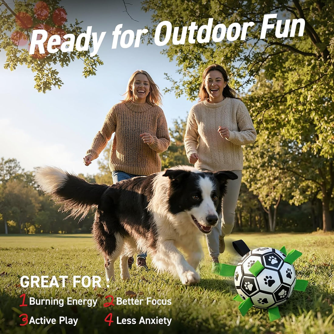 QDAN 6 Inch Dog Toys, Durable Floatable Dog Balls for Tug, Fetch