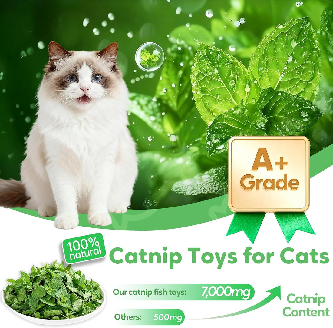 Rishoesu 3 Pcs Interactive Cat Toys Cat Pillows