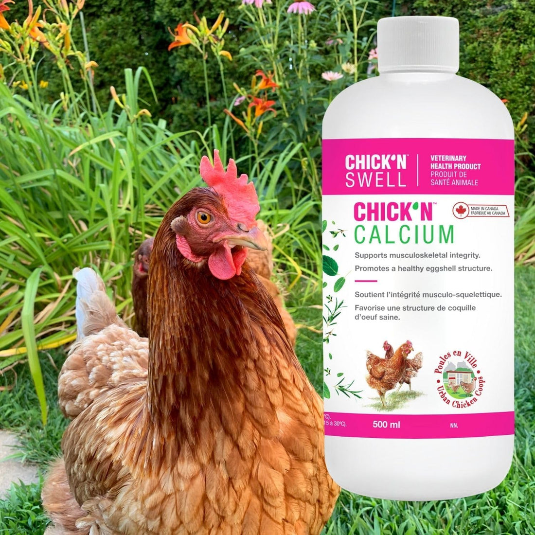 Premium Poultry Calcium Supplement for Bone Health & Egg
