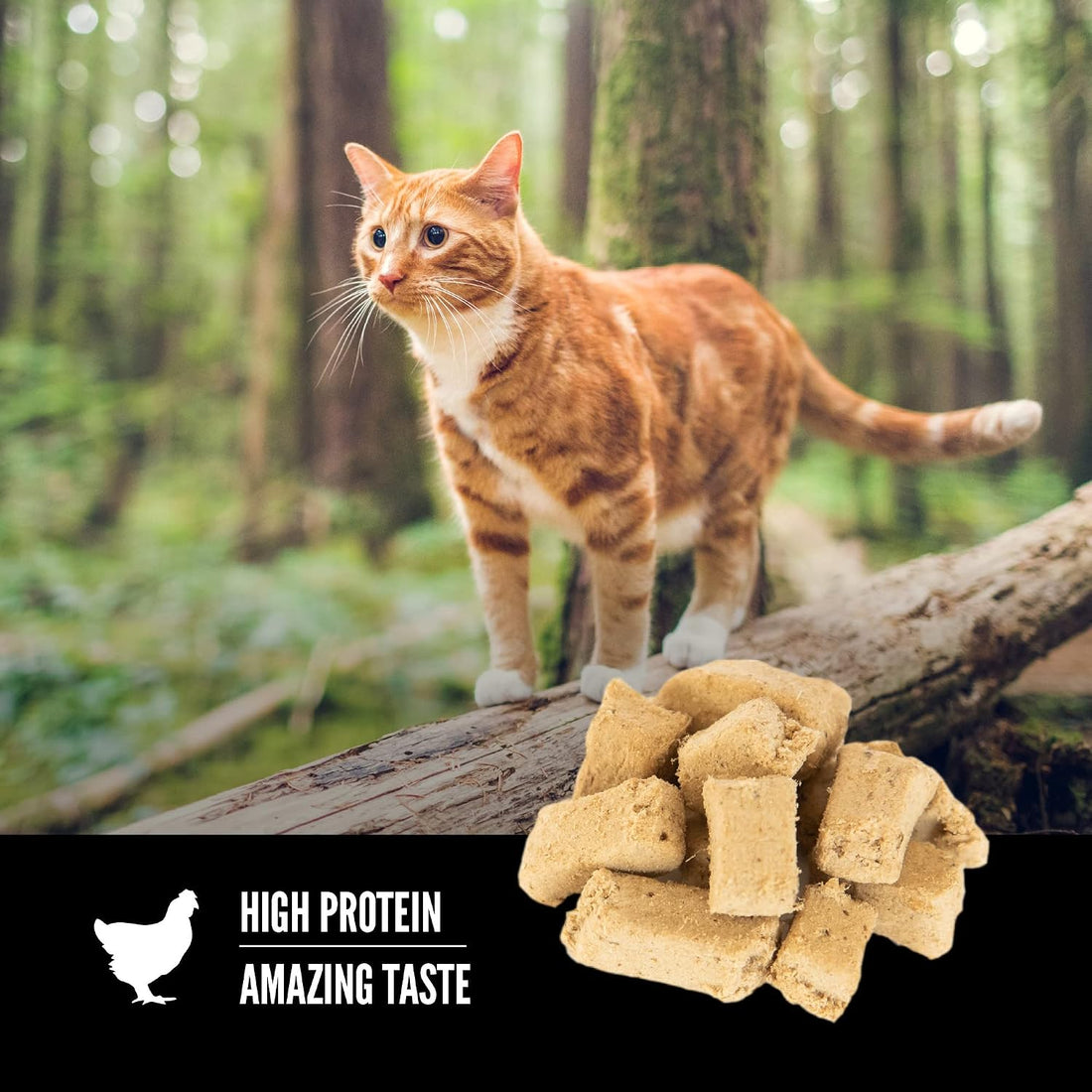 ORIJEN Freeze Dried Cat Treats Grain Free High Protein Raw Animal