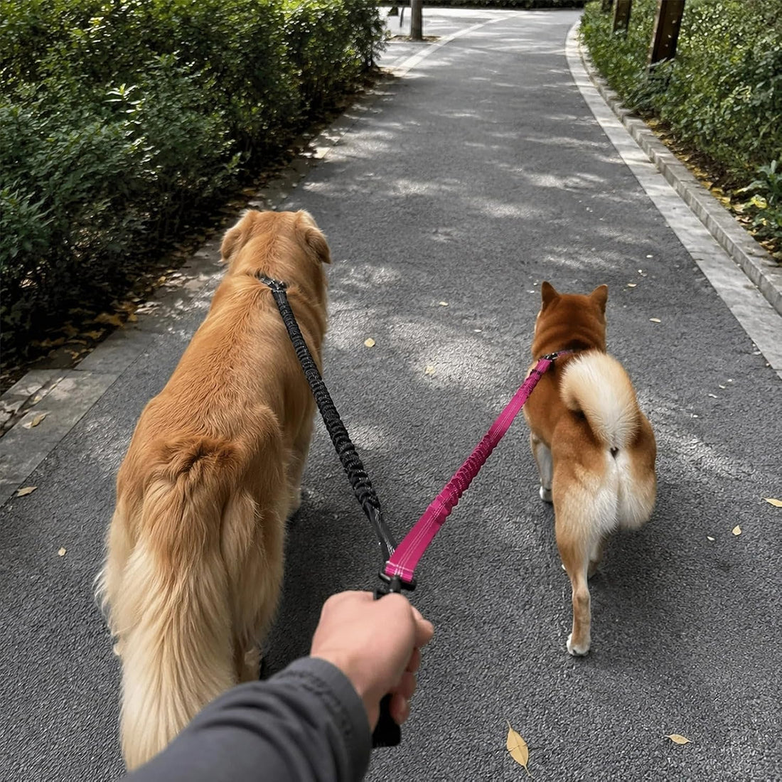 Double Dog Leash, Retractable Dog Leash for 2 Dogs, No Tangle