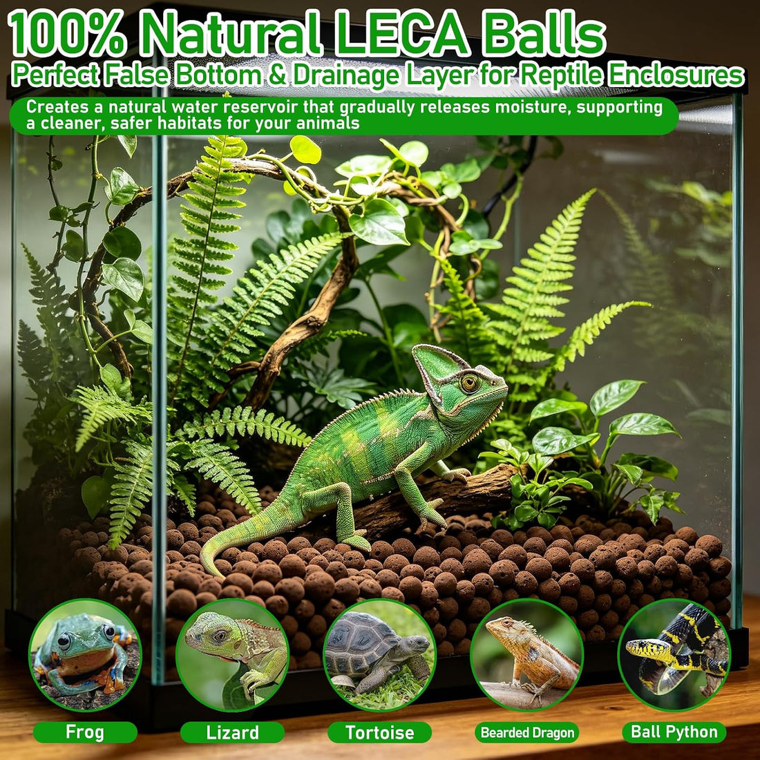 Riare 2LBS Organic Expanded Clay Balls Terrarium Substrate