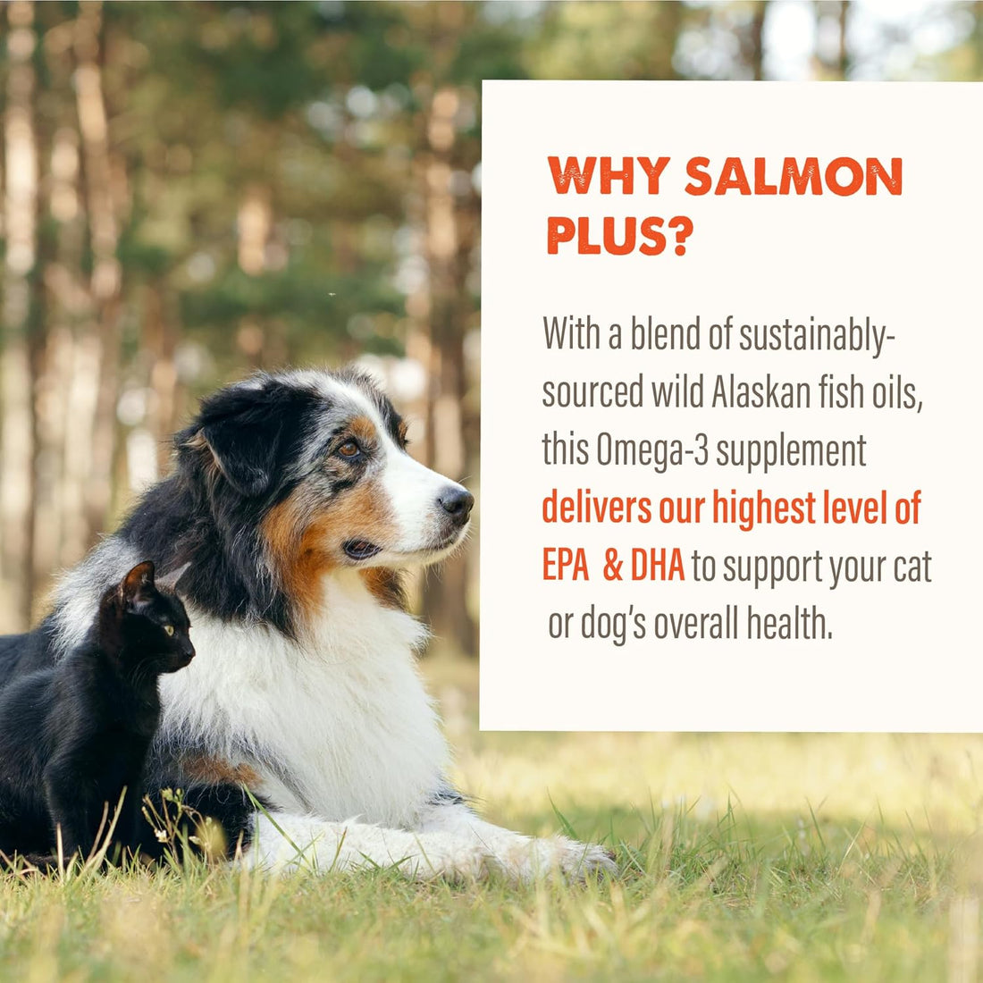 Grizzly Wild Alaskan Salmon Oil Dog Food Supplement Omega 3 Fatty