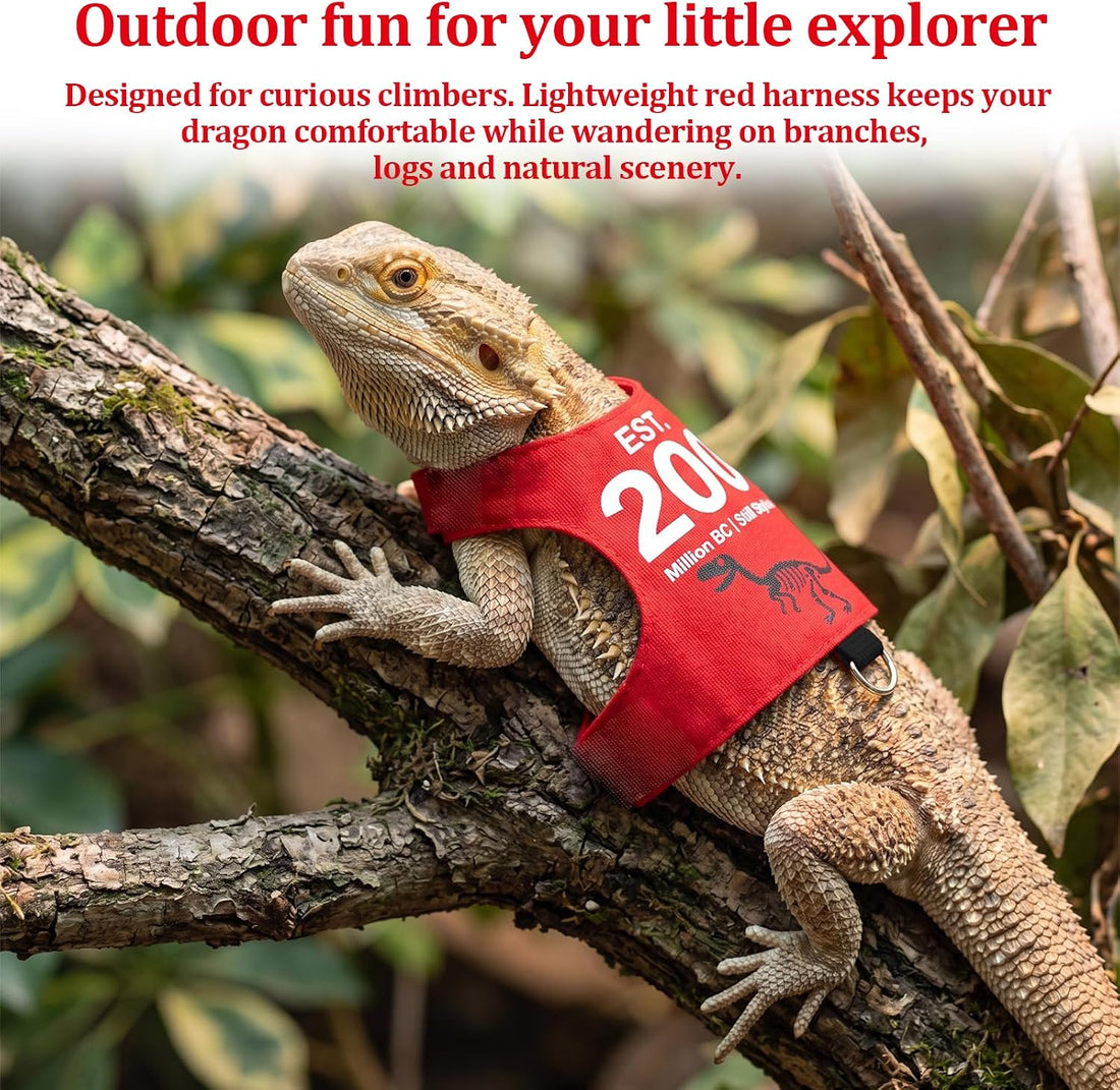 Bearded Dragon Harness and Leash Set