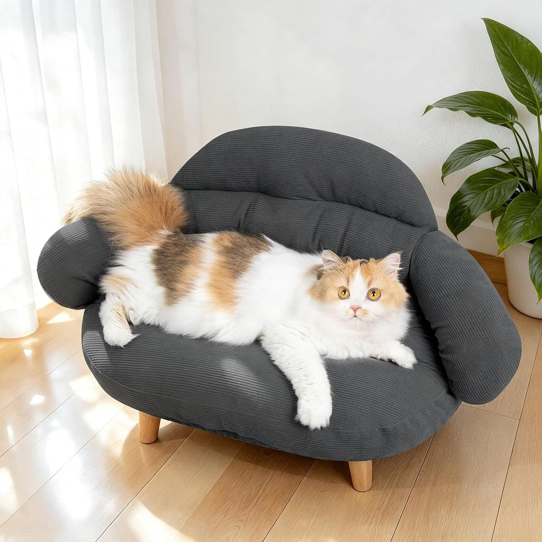 Kitten White Cat Sofa Bed, Pet Couch with Pine Wood Legs