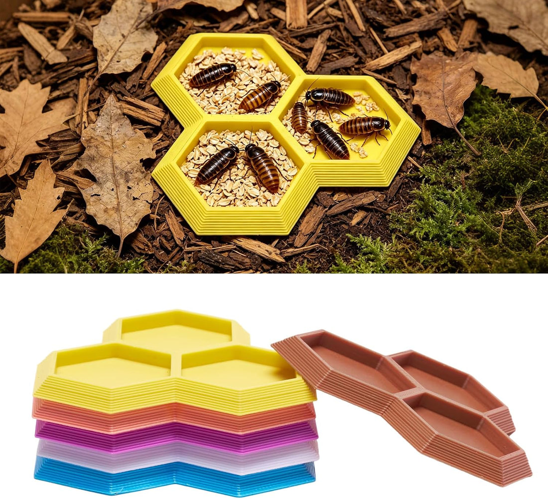 3 in 1 Dubia Roach Large Feeder Bowl, 6 PCS Isopod Food Dish
