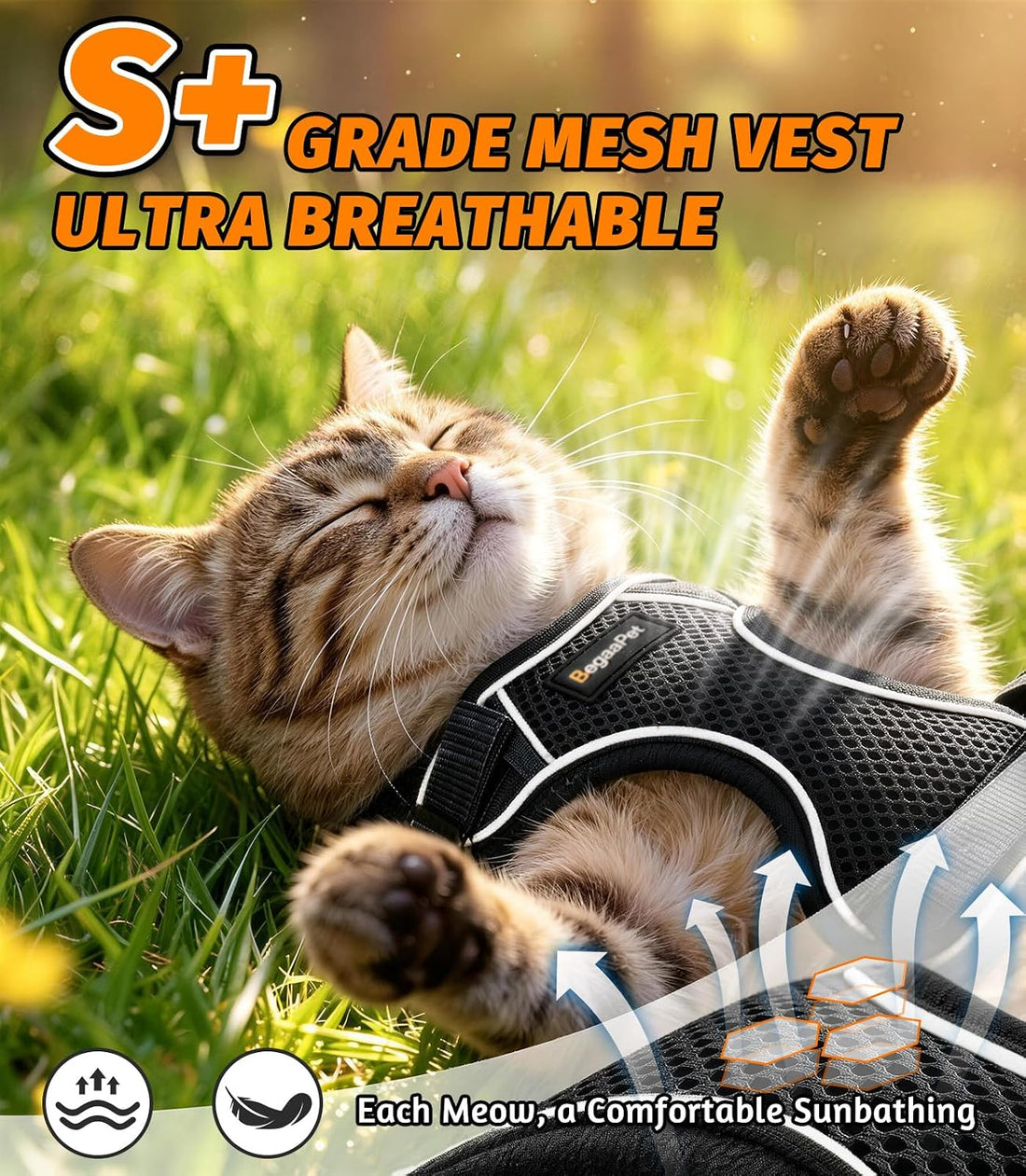 Cat Harness and Leash for Walking