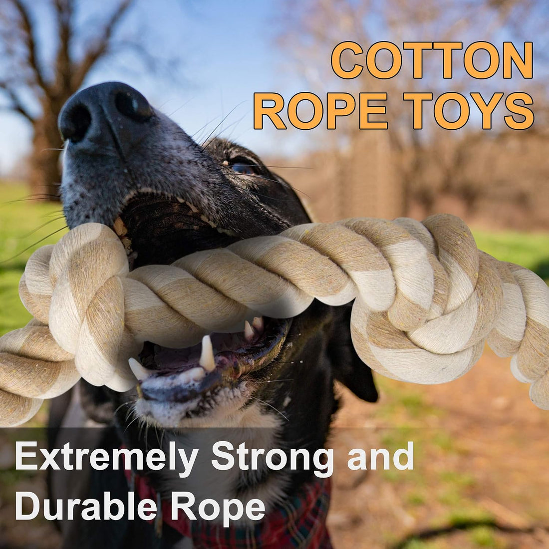 Fida Dog Rope Toys for Large/Medium Aggressive Chewers