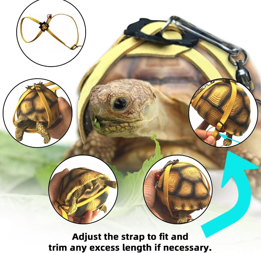 Pet Tortoise Leather Harness & Leash - Small Tortoise Supplies