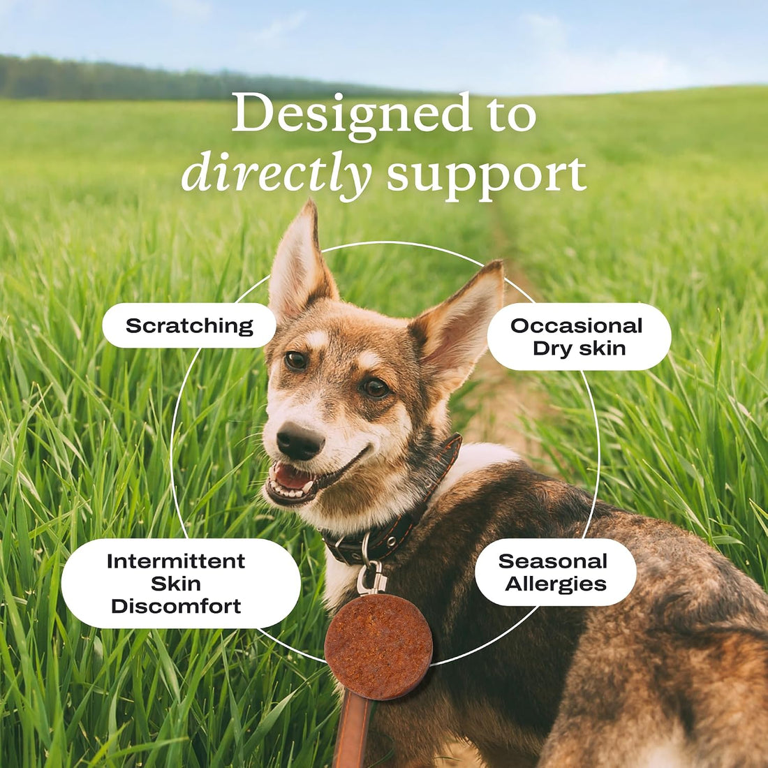 PetLab Co. Itch Relief Chew Pro for Dogs, 30 Soft Chews