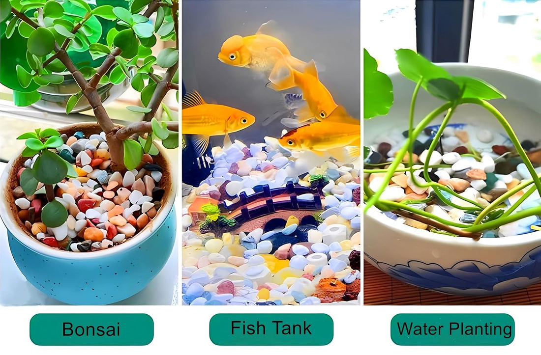 Small Aquarium Gravel for Fish Tank