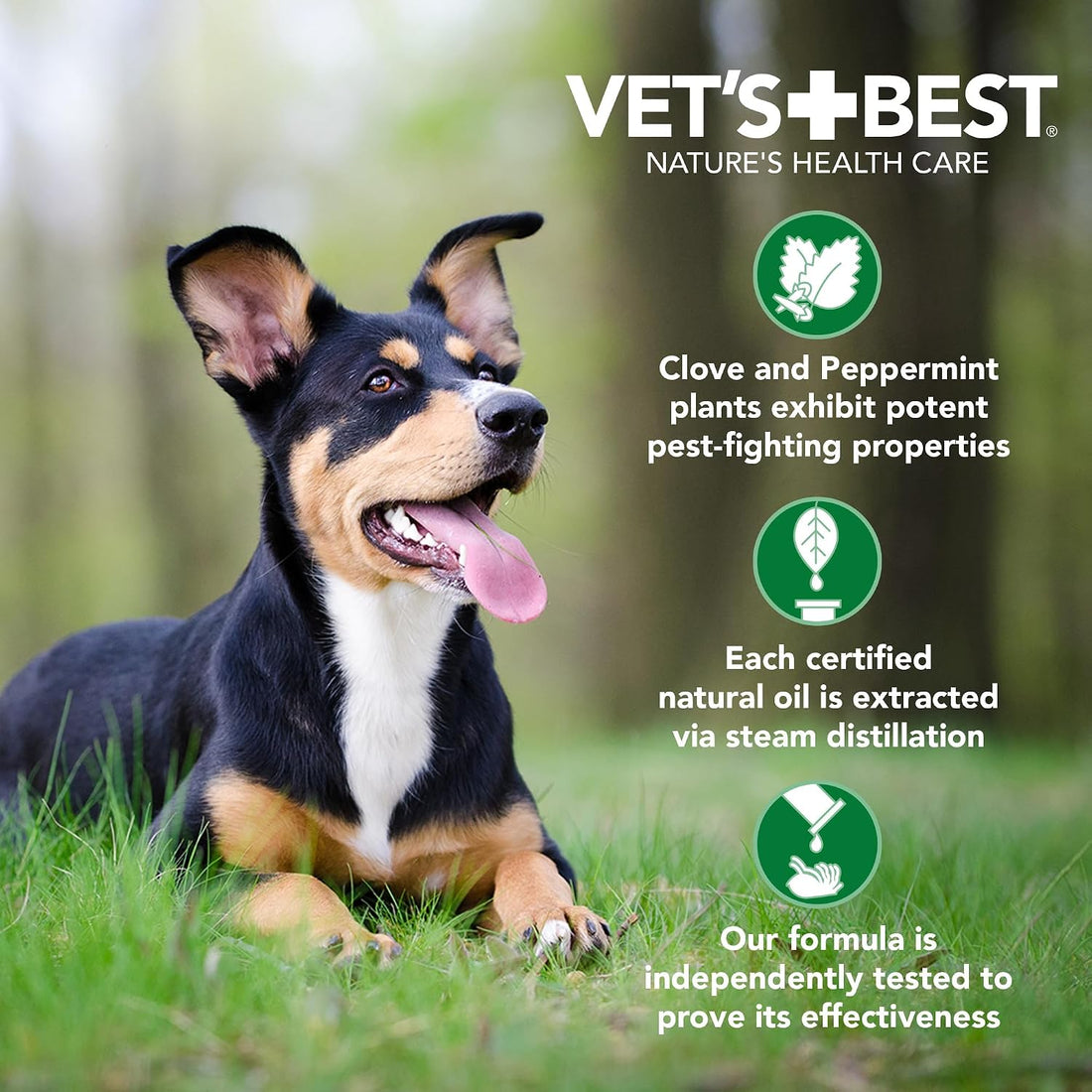 Vet's Best Flea & Tick Spray Shampoo for Dogs, Essential Oils, 16 oz