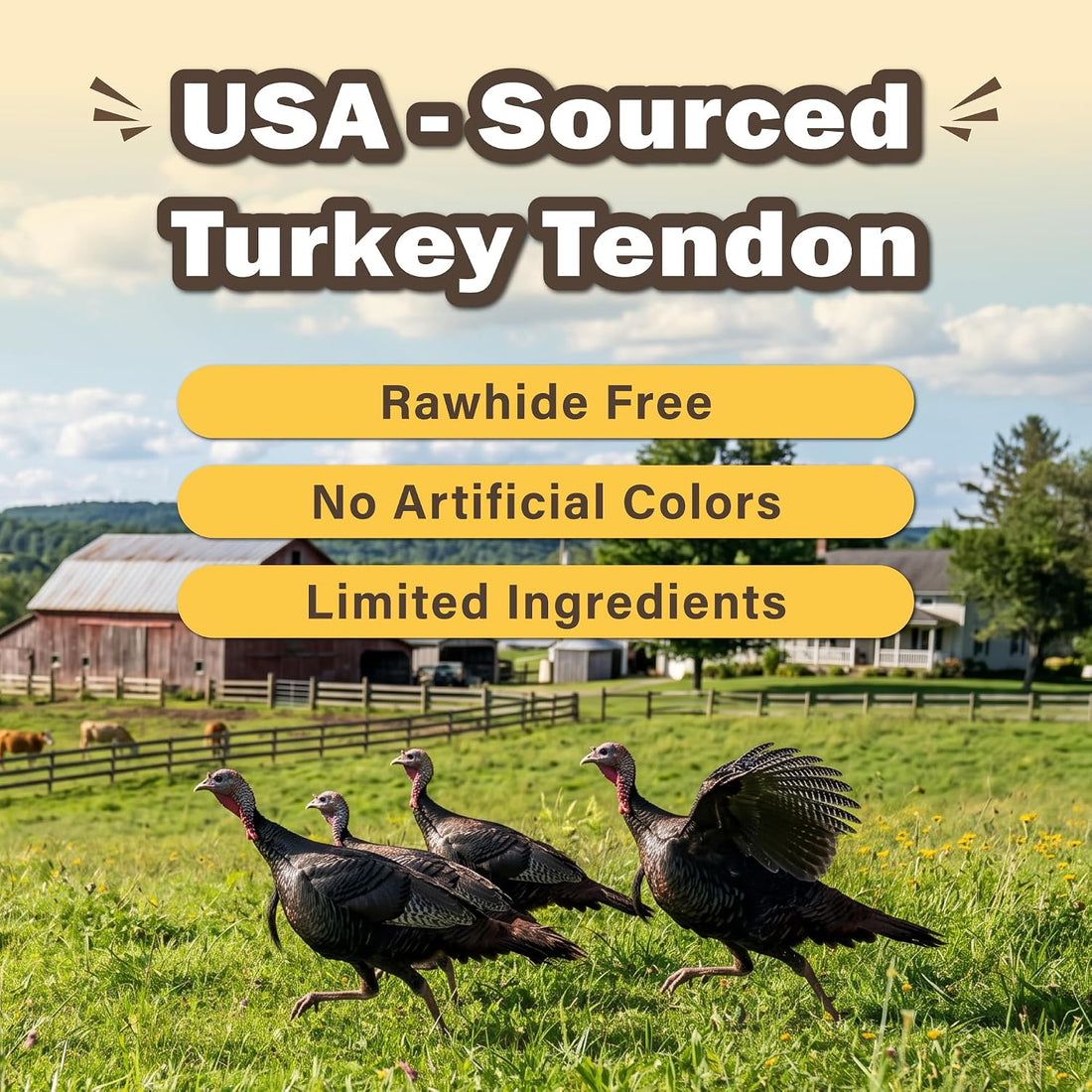 VITADAY Turkey Tendon for Dogs, USA-Sourced, Strips, 3 oz