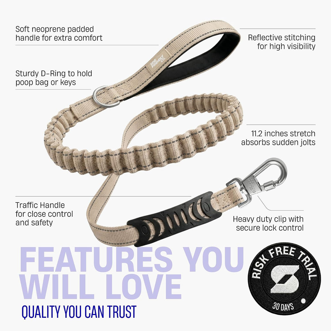 Dog Friendly Co. Bungee Dog Leash, Shock-Resistant