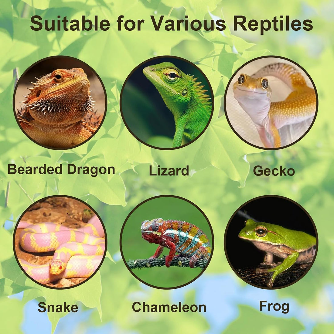 Tfwadmx Reptile Branches, Natural Reptile Corner Climbing Branch