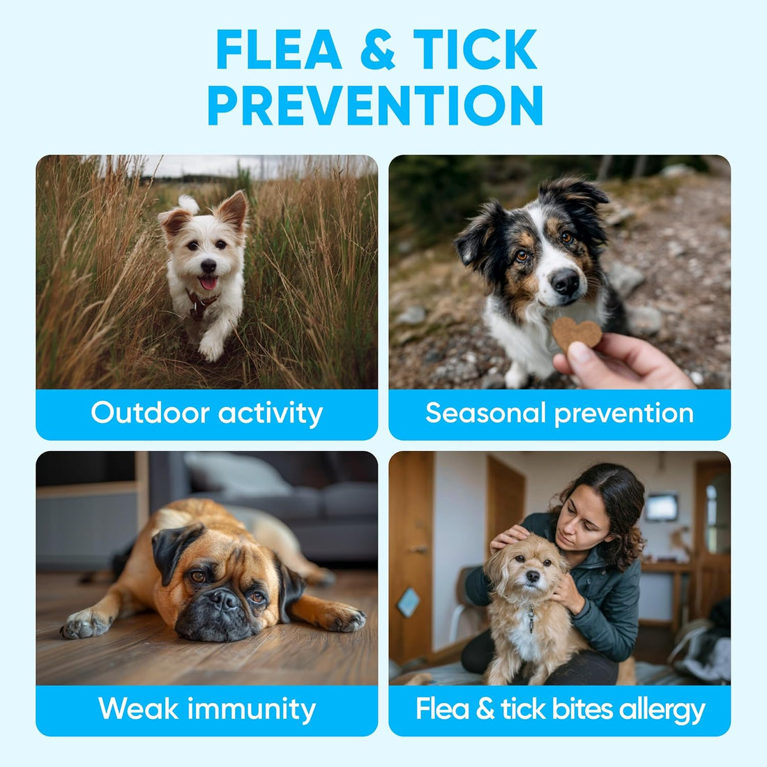 Chewable Flea and Tick Prevention for Dogs