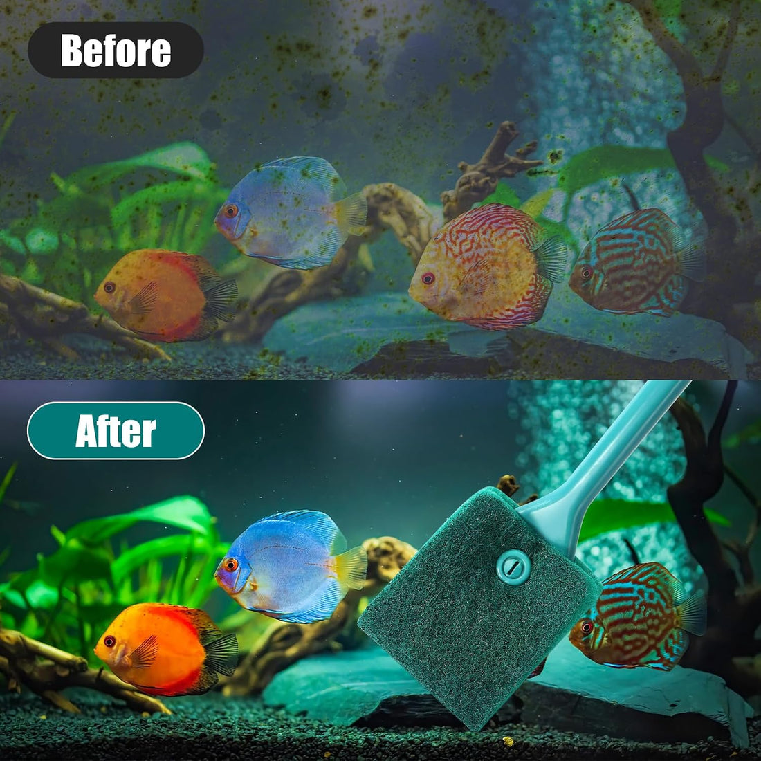 AQUANEAT Fish Tank Cleaning Tools, Aquarium Double Sided Sponge Brush