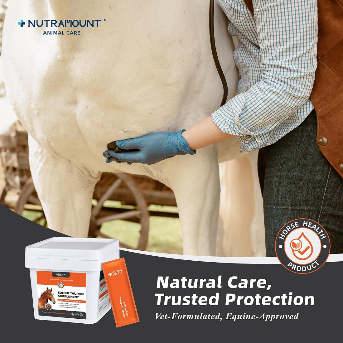 Horse Taurine Supplement Powder for Performance & Nerve Support