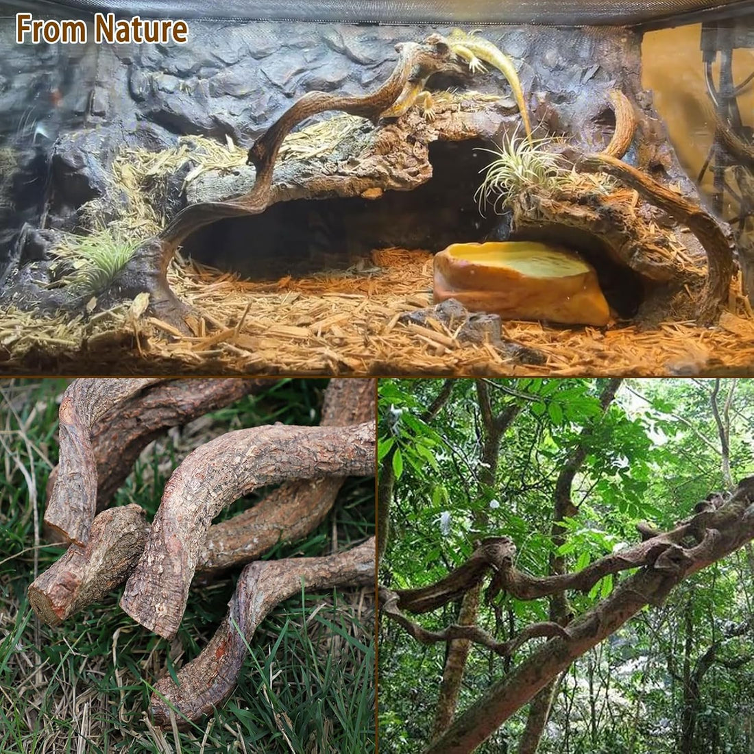 Reptile Decor 4PCS Natural Forest Branch Terrarium Habitat Wood