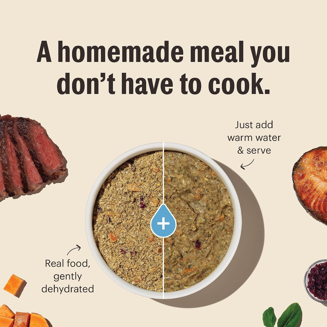 The Honest Kitchen Human Grade Wholemade Dehydrated Whole Grain Dog